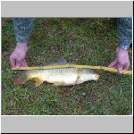 C.Lhota  4.4.2008 9-05-13.JPG